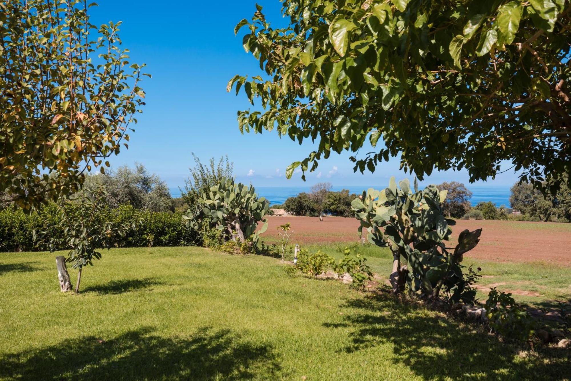 Villa Eirene Ricadi Eksteriør bilde